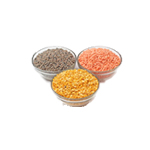 Top pulses manufacturers in delhi