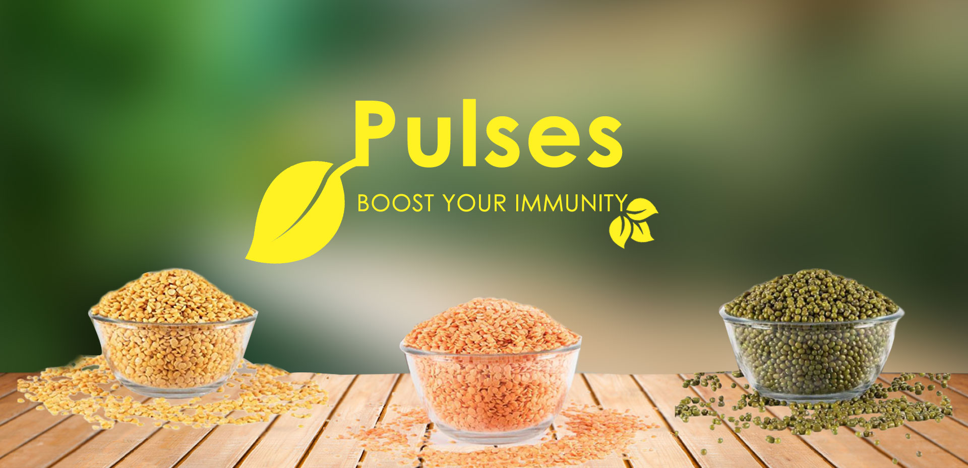 Pulses in Delhi
